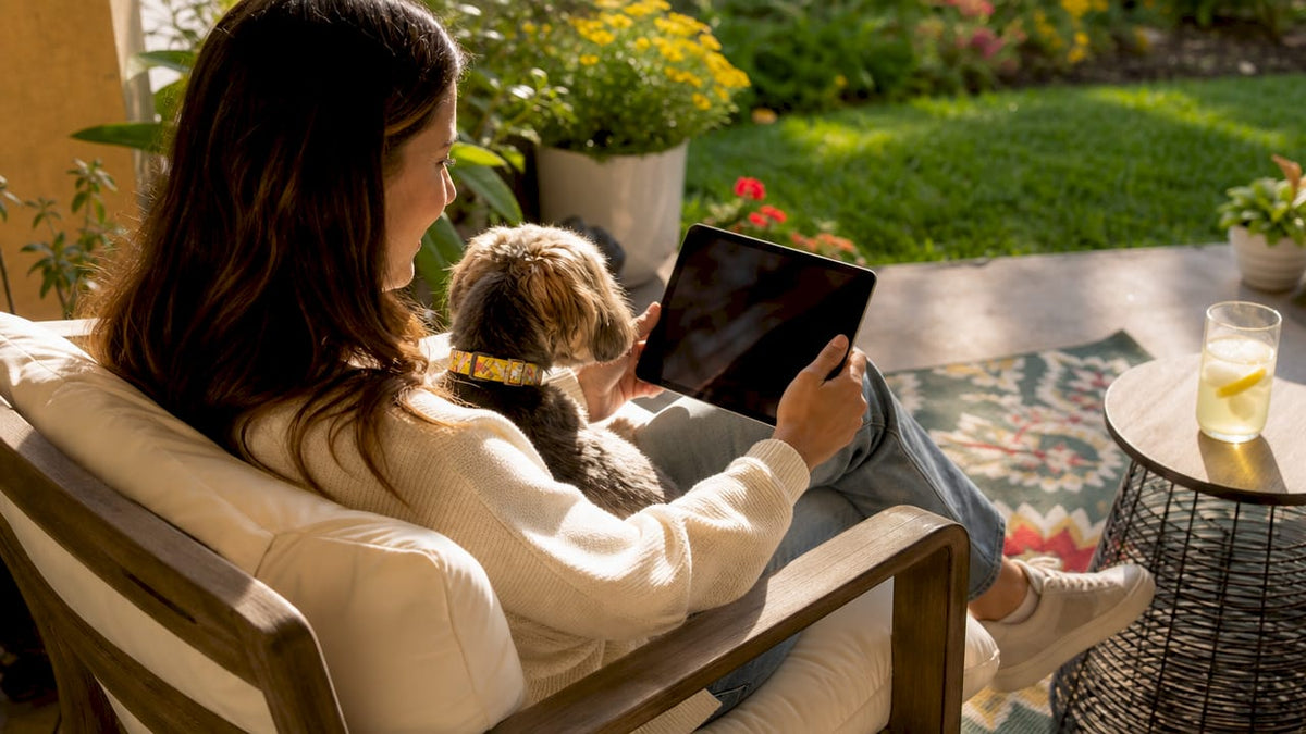 Woman browsing pet apparel alternatives with dog in lap