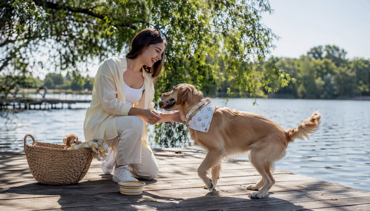 Woman walking dog with matching collar outfit