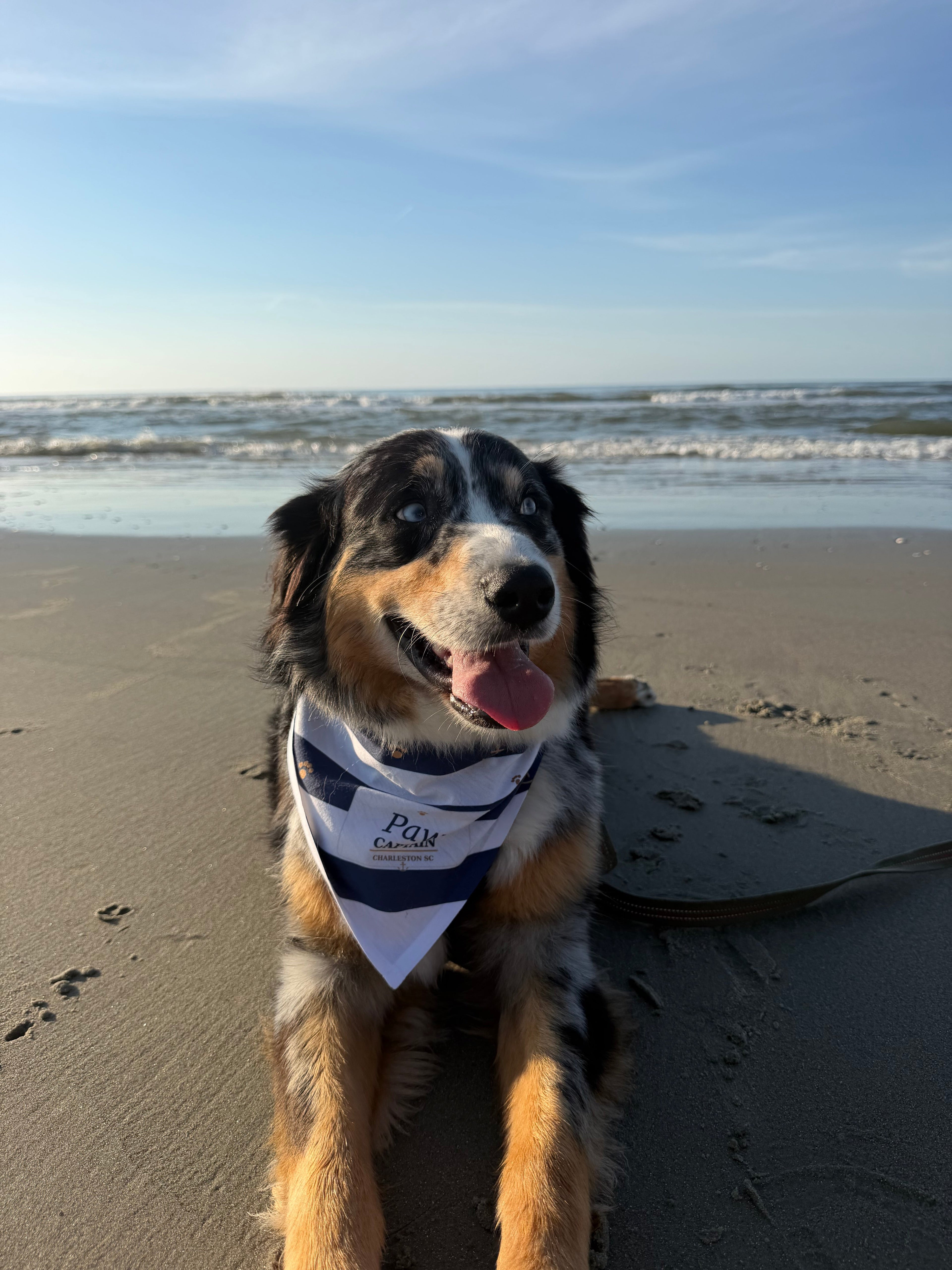 Beach Bum Pup