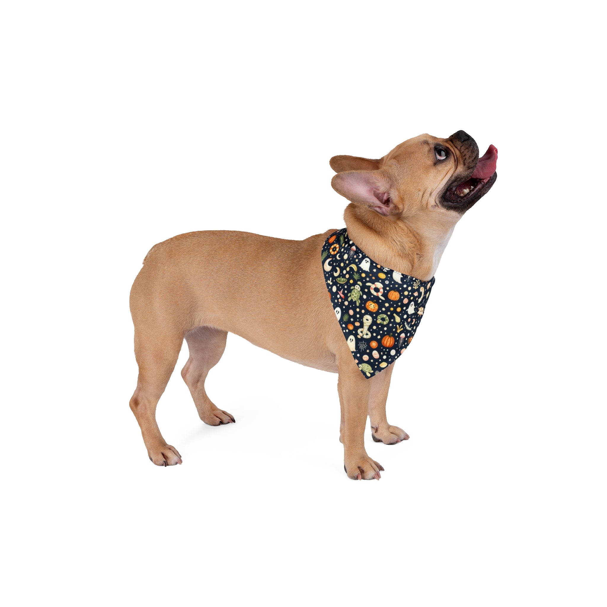 Boo by the Bay Halloween Dog Bandana | Ghost, Pumpkin & Ocean Pet Bandana
