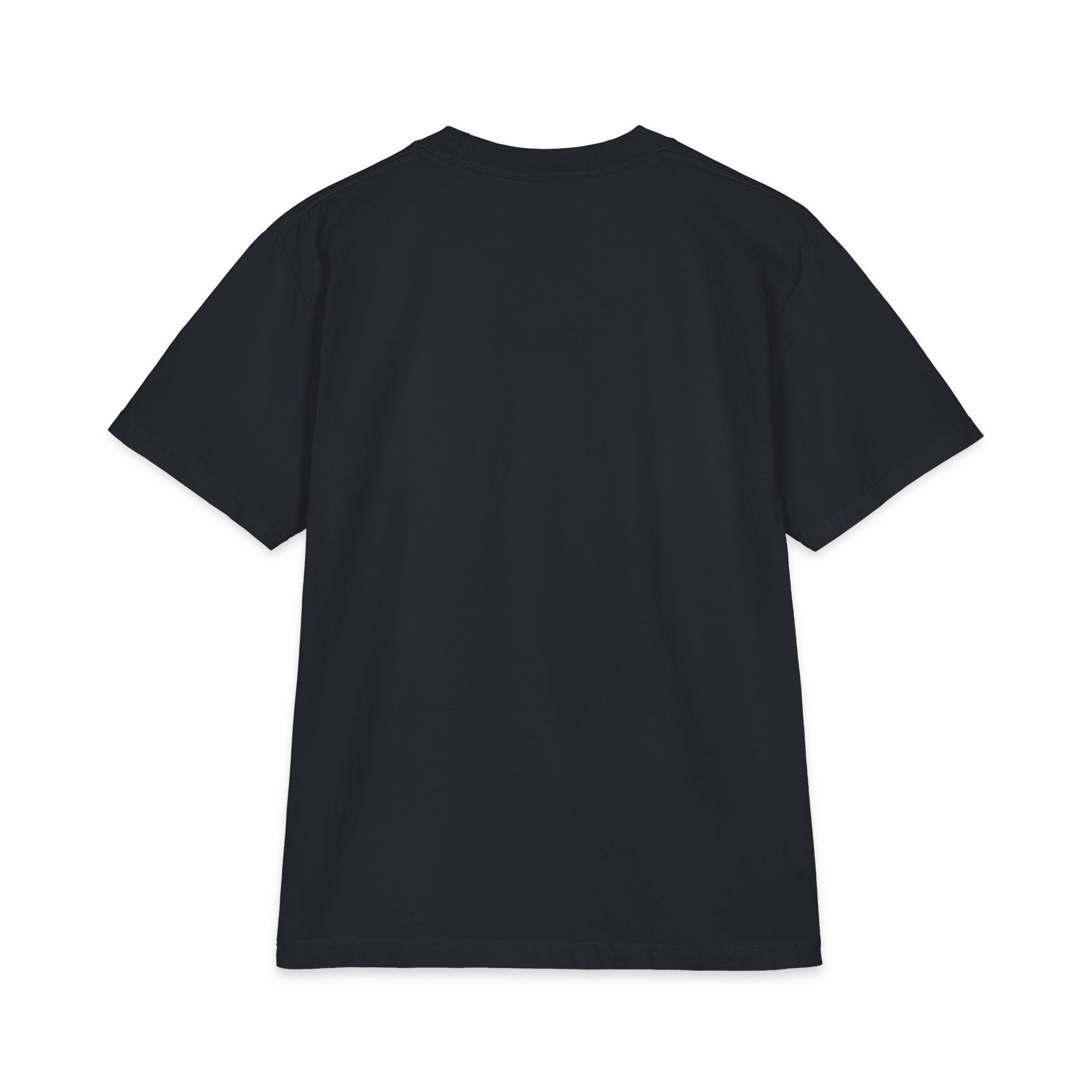 PawCaptain Classic Heavyweight Tee