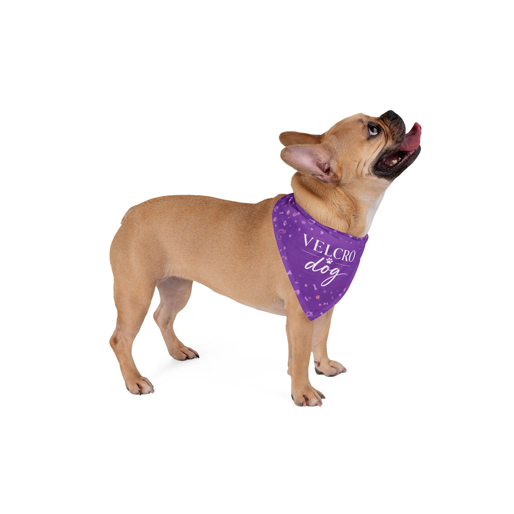 Velcro Dog Bandana | Funny Dog Bandana for Australian Shepherds & Loyal Dogs