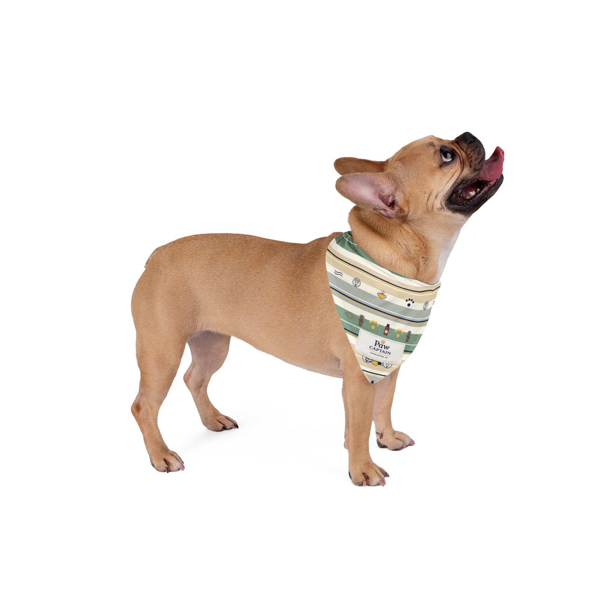 Oyster Dock Stripe Dog Bandana