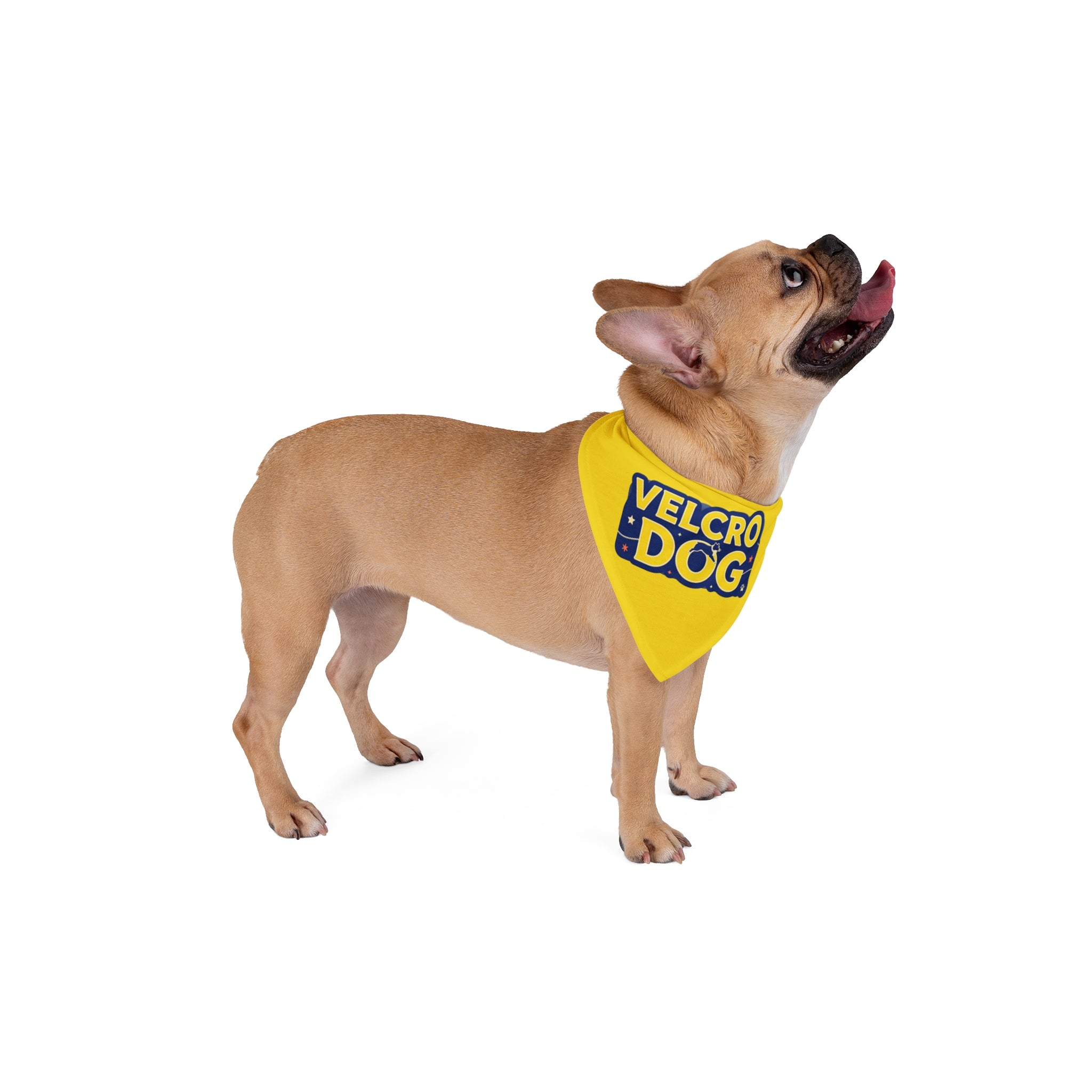 Velcro Dog Bandana | Funny Dog Bandana for Australian Shepherds & Loyal Dogs | Cute Pet Bandana