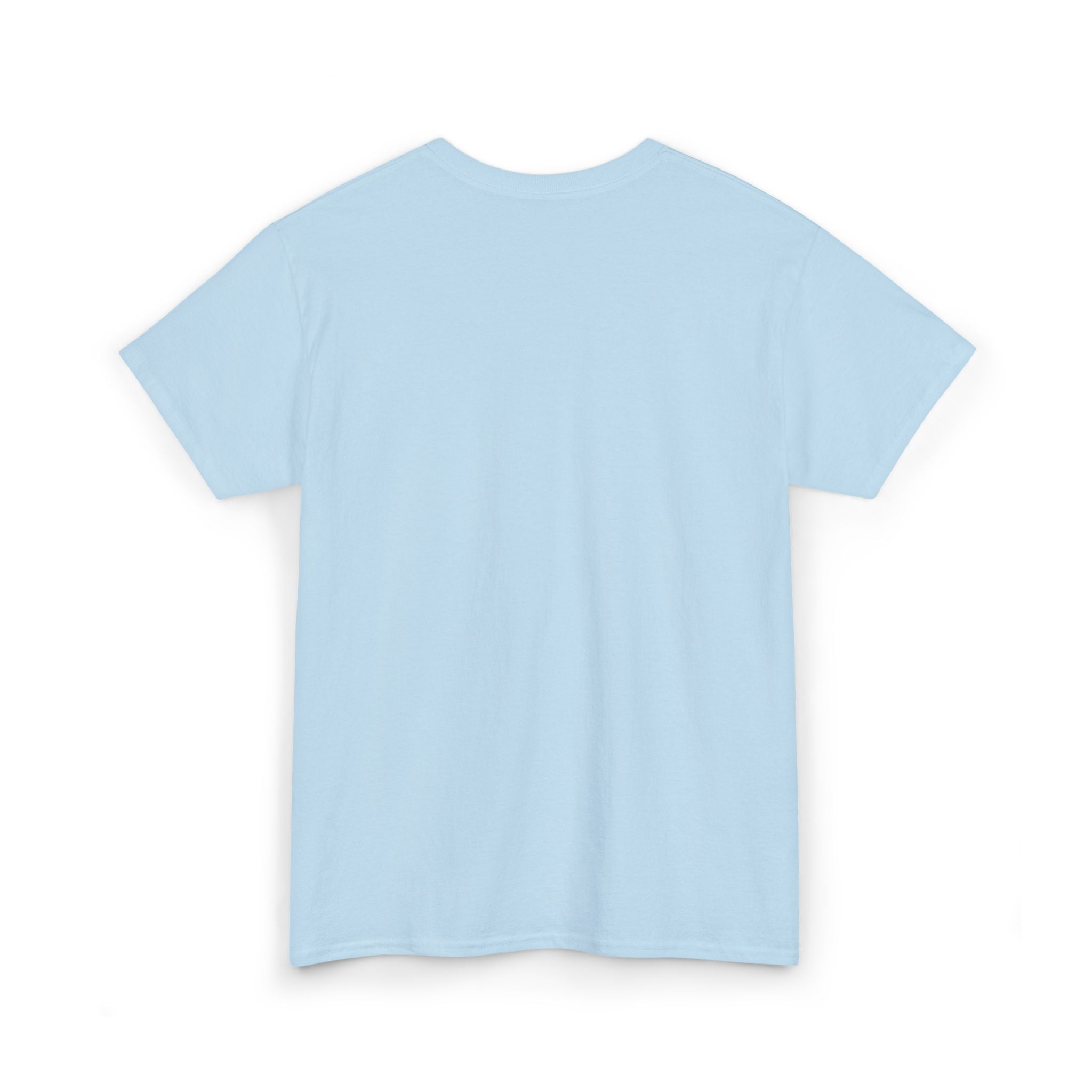 PawCaptain Minimal Embroidered Tee | Unisex Heavy Cotton Dog Lover Shirt