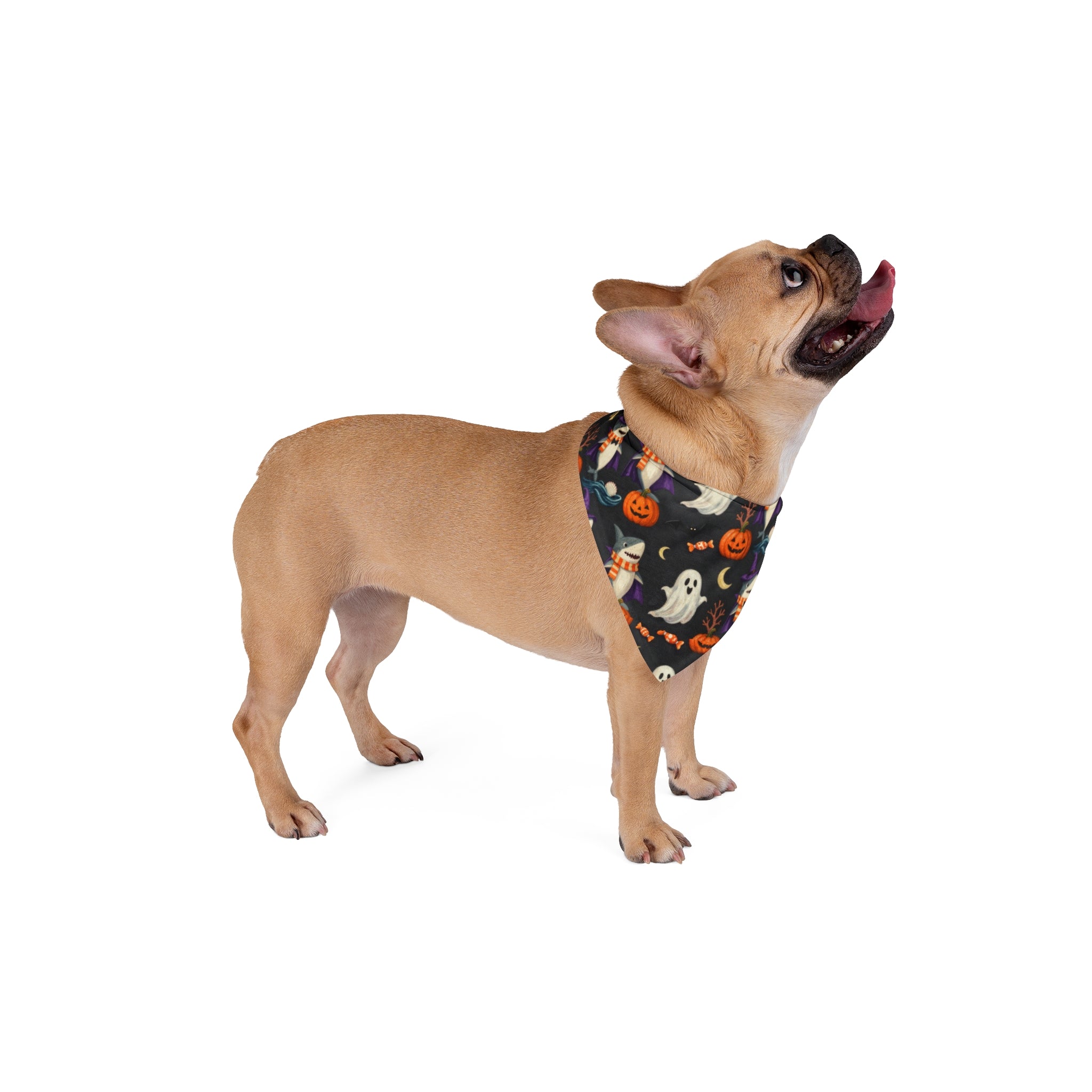 Halloween Shark Dog Bandana | Ghost Shark Pumpkin Pet Bandana