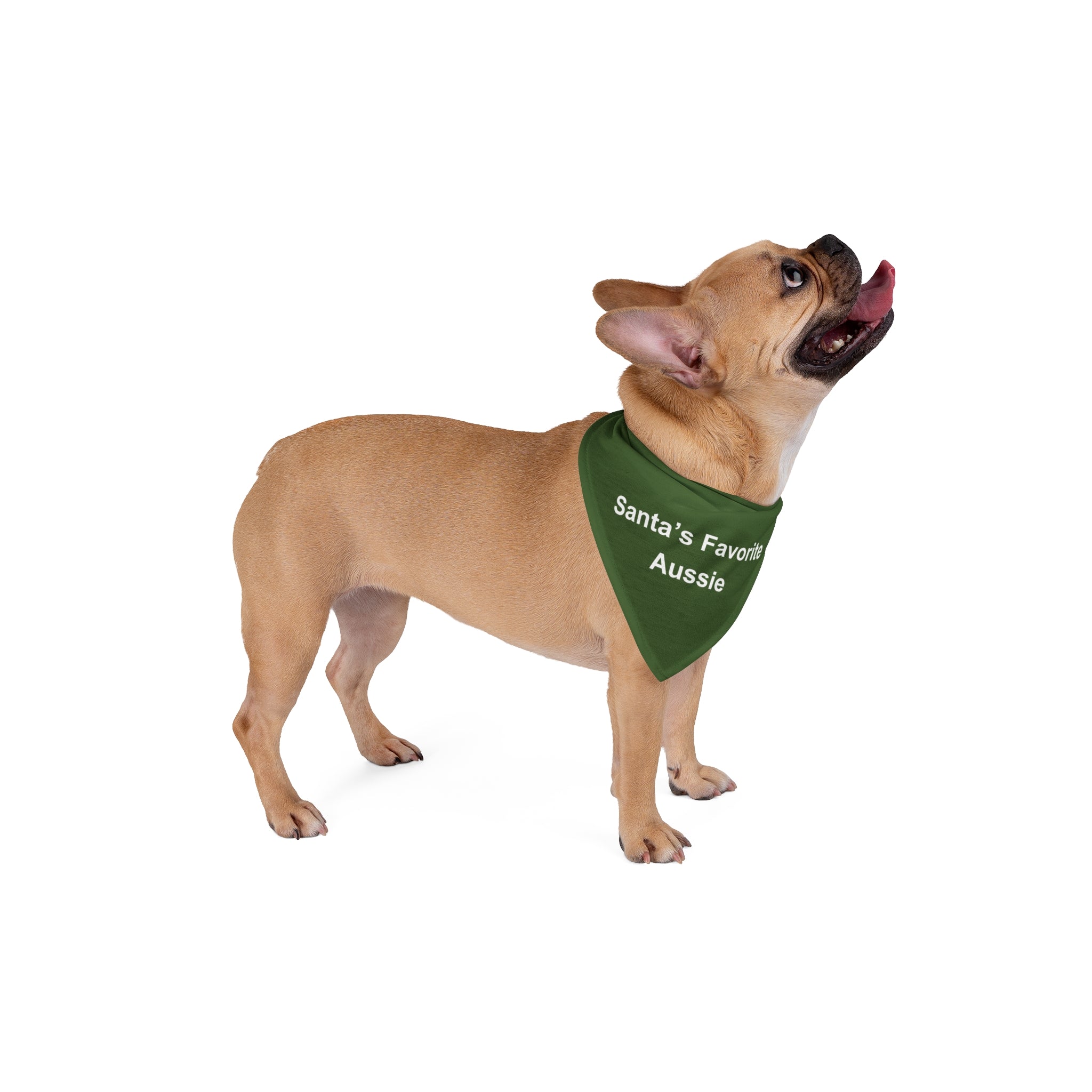 Santa's Favorite Aussie Dog Bandana | Australian Shepherd Christmas Bandana | Holiday Dog Bandana