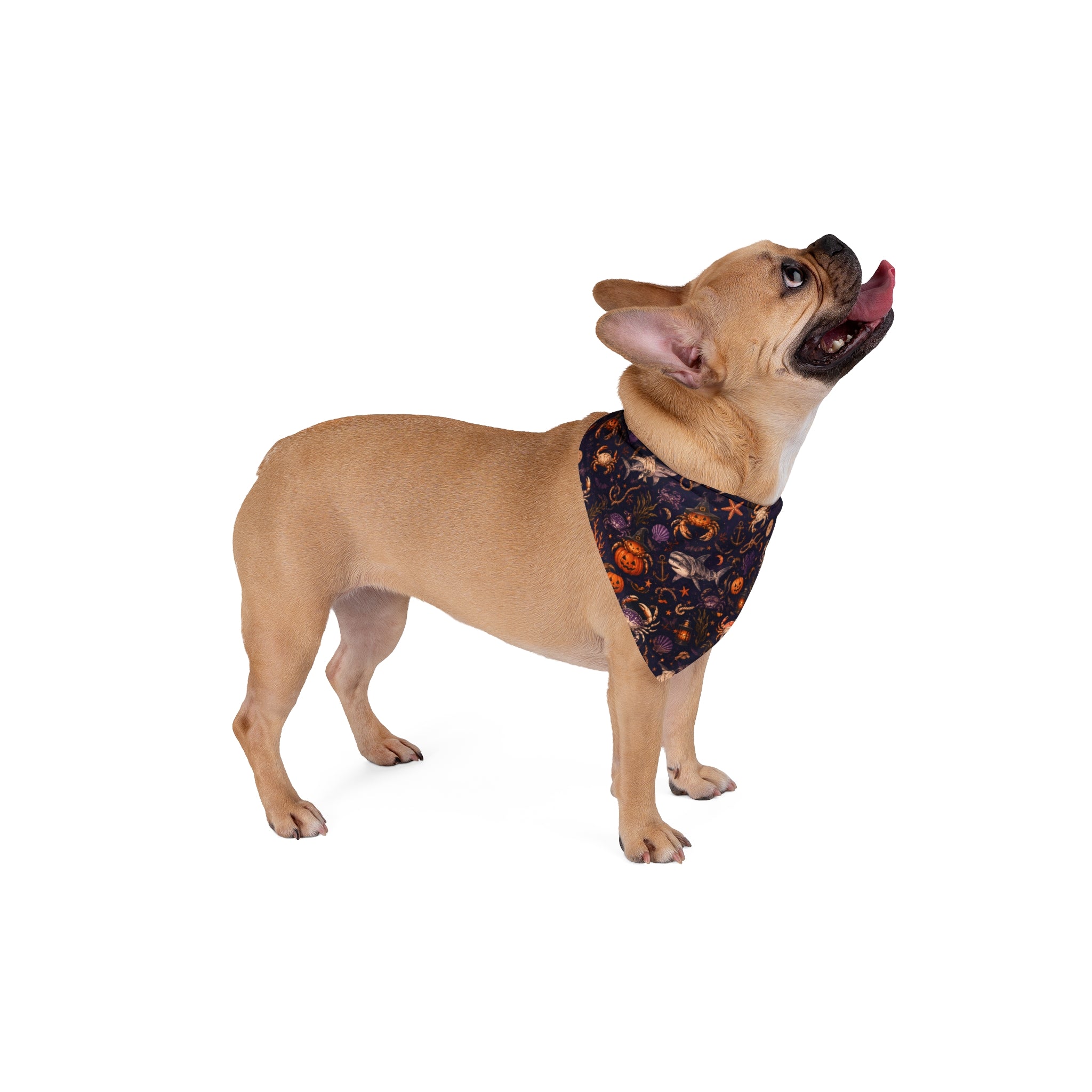 Haunted Tides Coastal Halloween Dog Bandana | Pumpkin Crab & Shark Pet Bandana