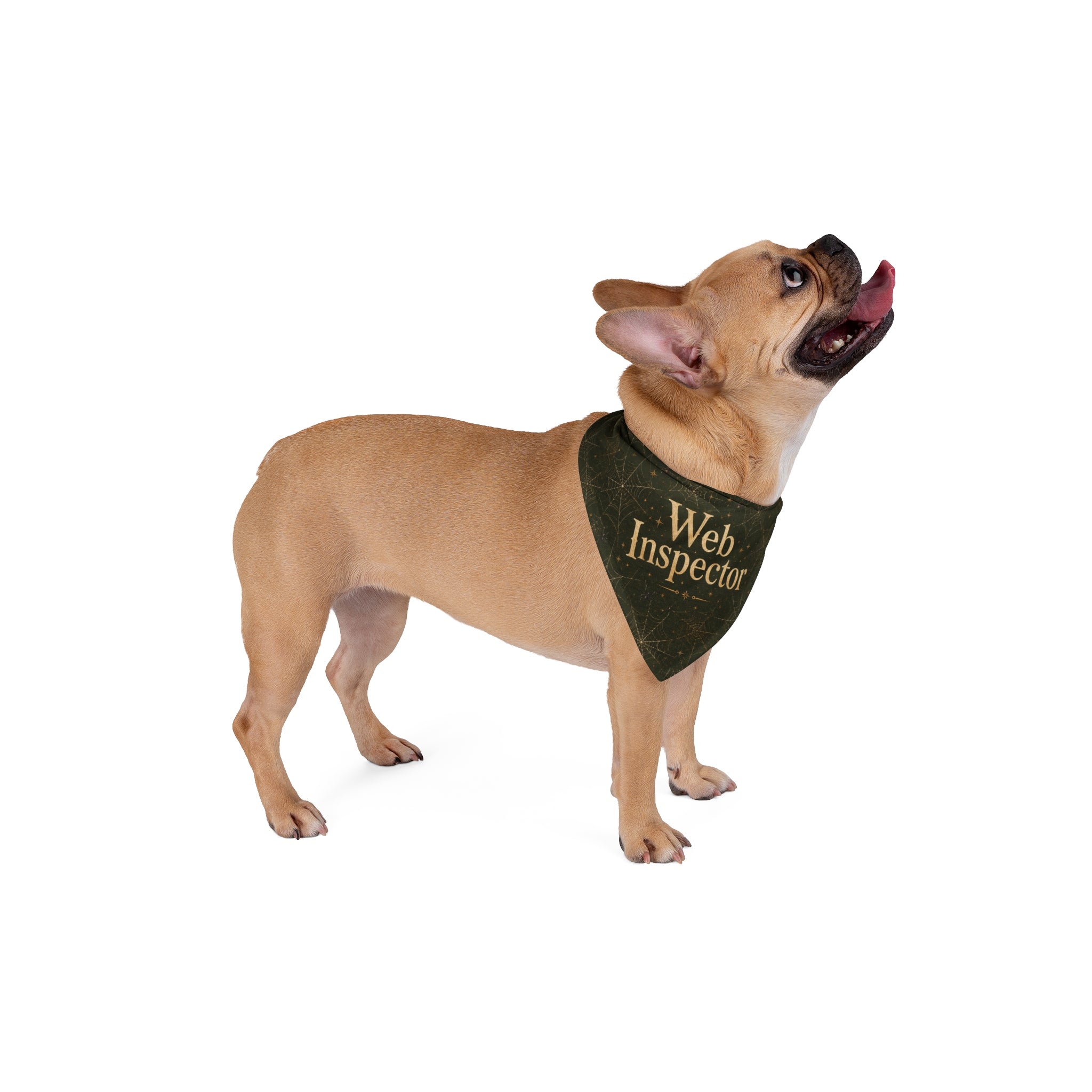 Web Inspector Halloween Dog Bandana | Spooky Spider Web Pet Bandana