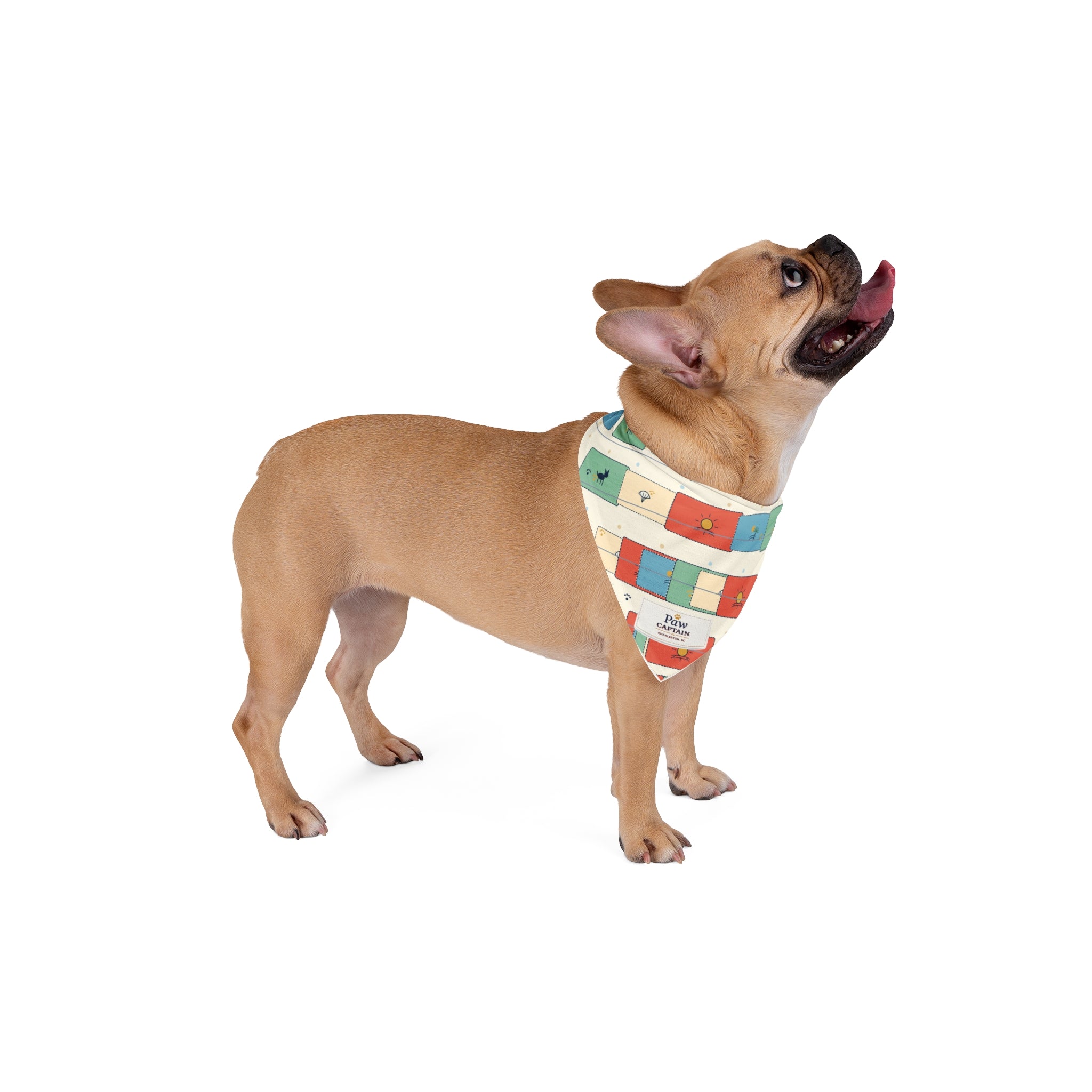 Coastal Postcard Dog Bandana