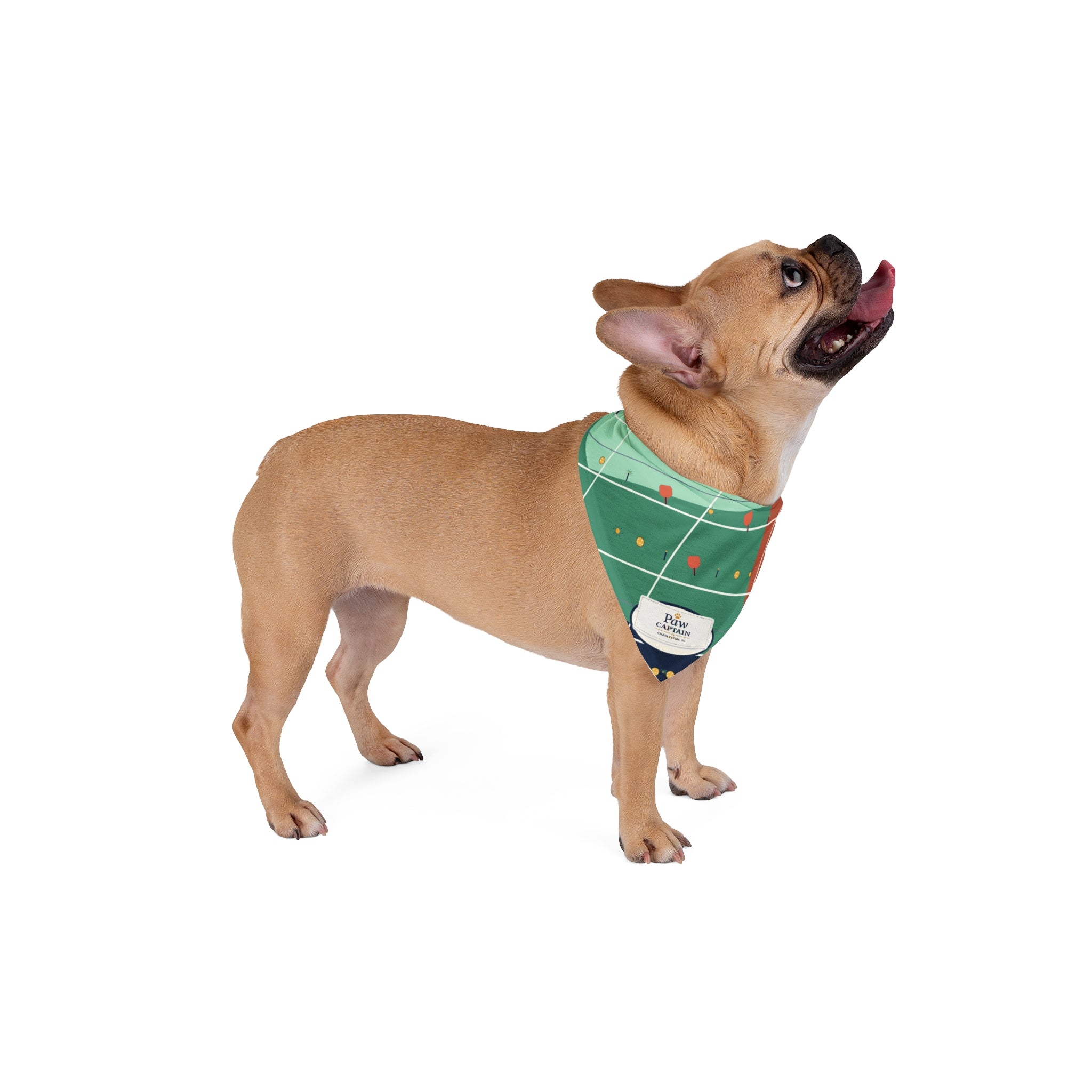 Palmetto Pickle Club Dog Bandana