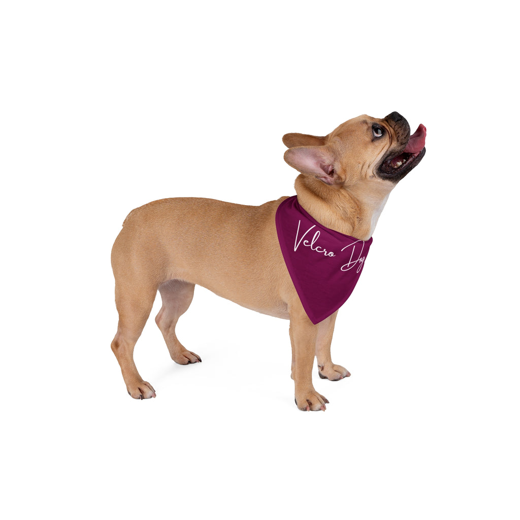 Velcro Dog Pet Bandana | Funny Aussie Dog Bandana for Velcro Dogs