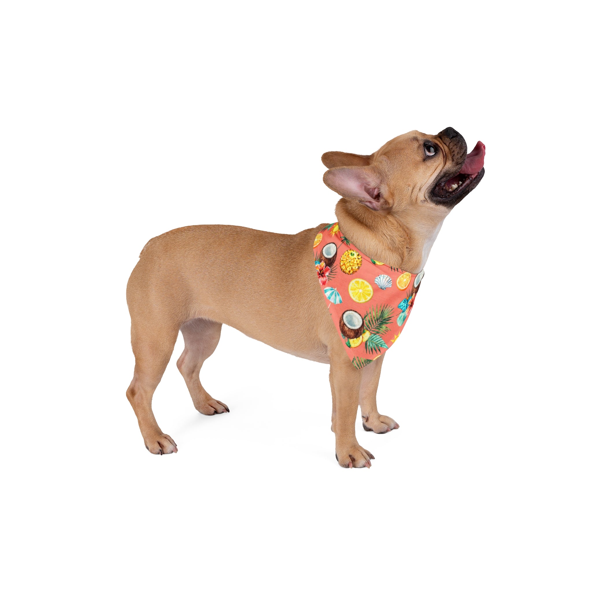 Tropical Summer Pet Bandana — Pineapple & Coconut Print Dog/Cat Scarf