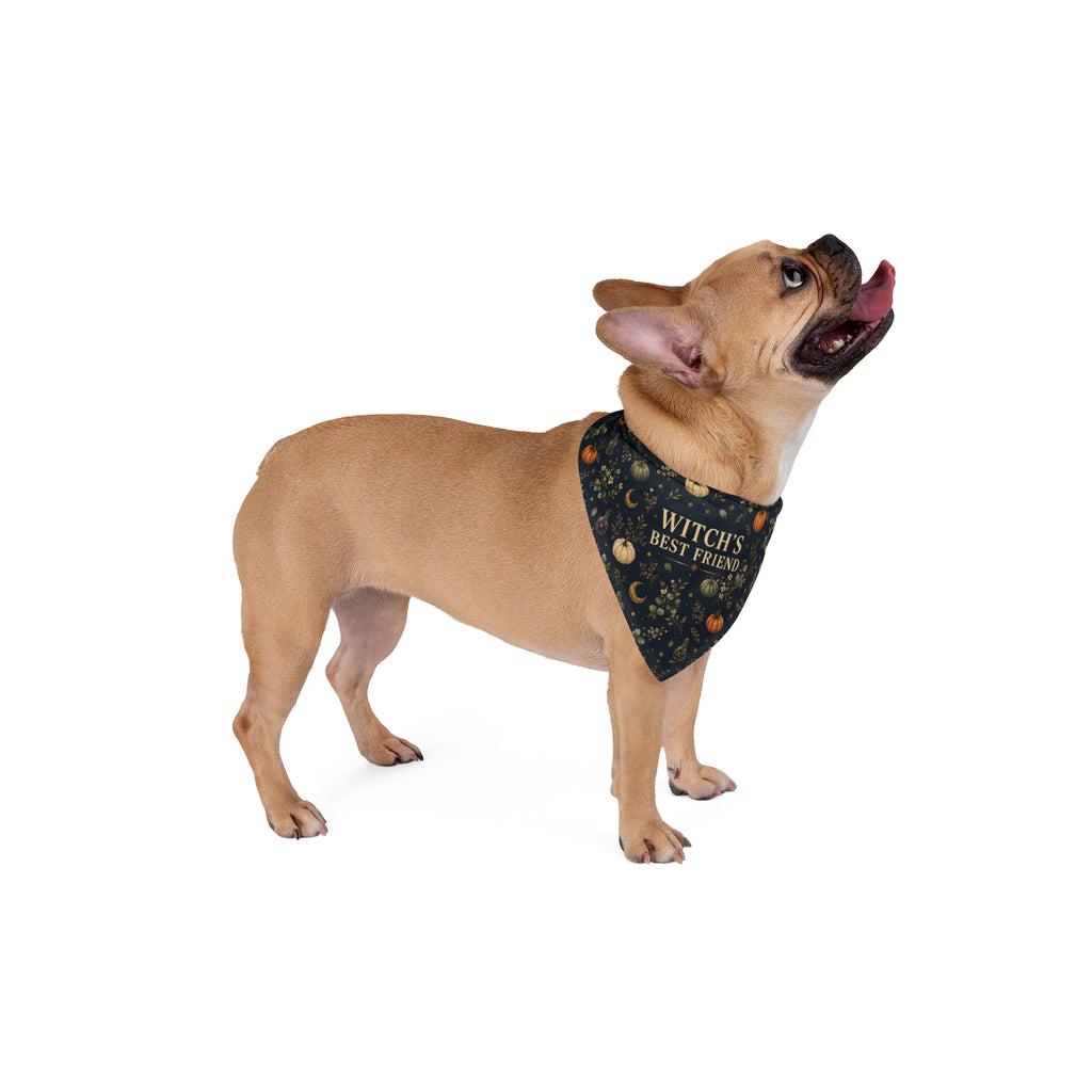 Witch's Best Friend Halloween Dog Bandana | Spooky Dog Mom Pet Bandana