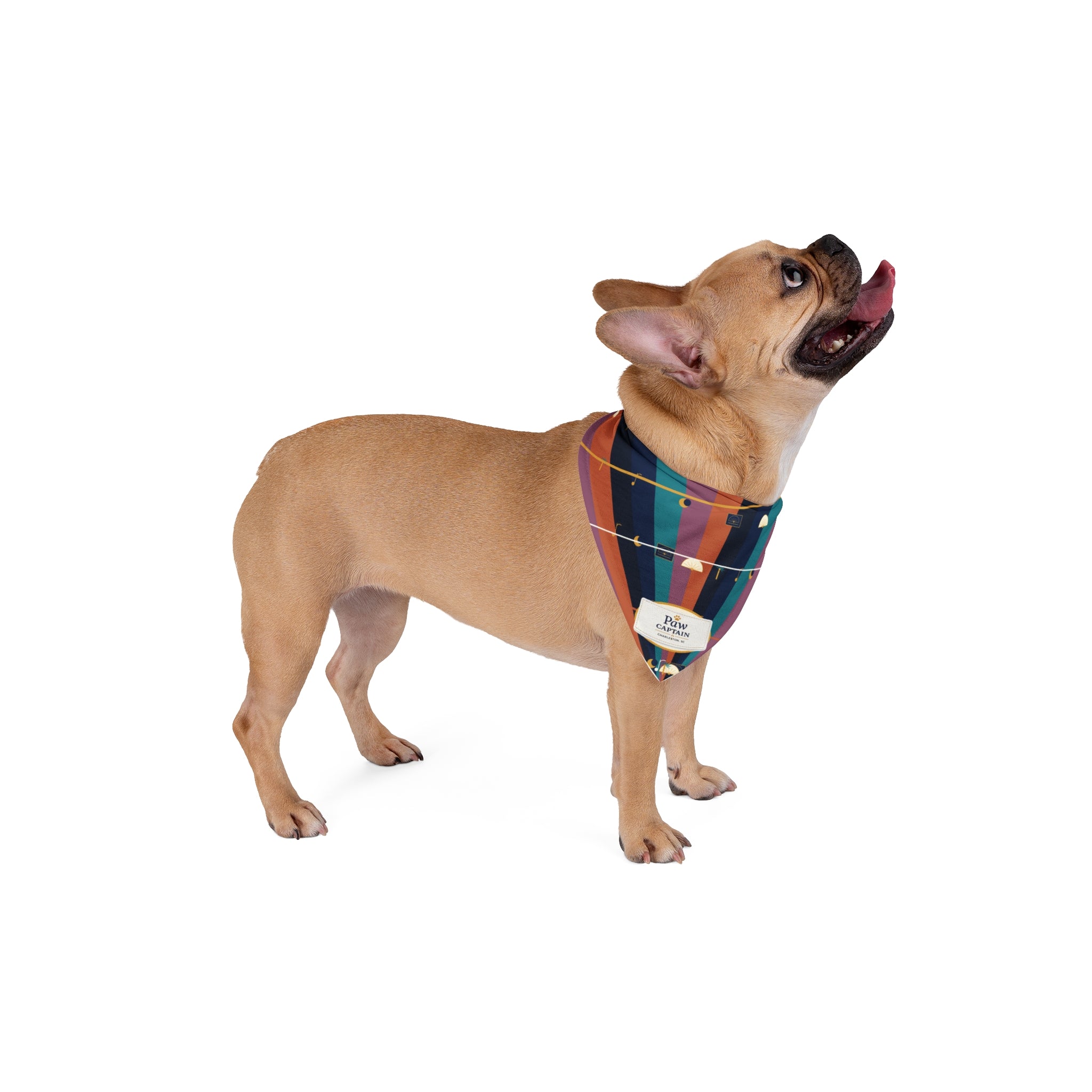 Midnight Palmetto Jazz Dog Bandana