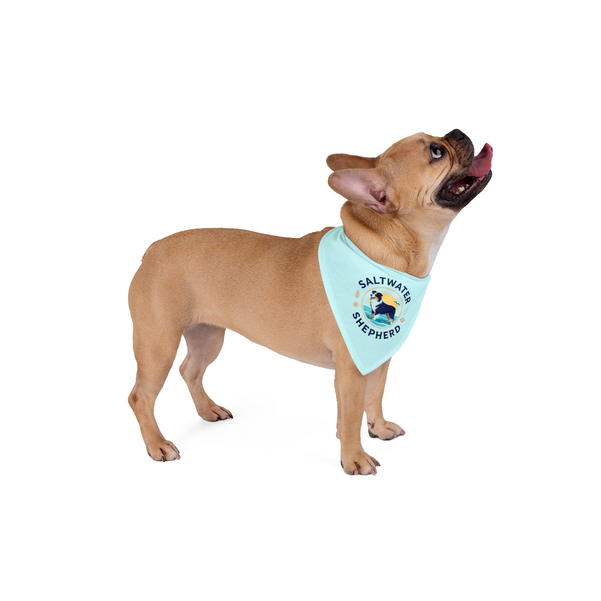 Saltwater Shepherd Dog Bandana | Australian Shepherd Beach Bandana | Coastal Dog Bandana