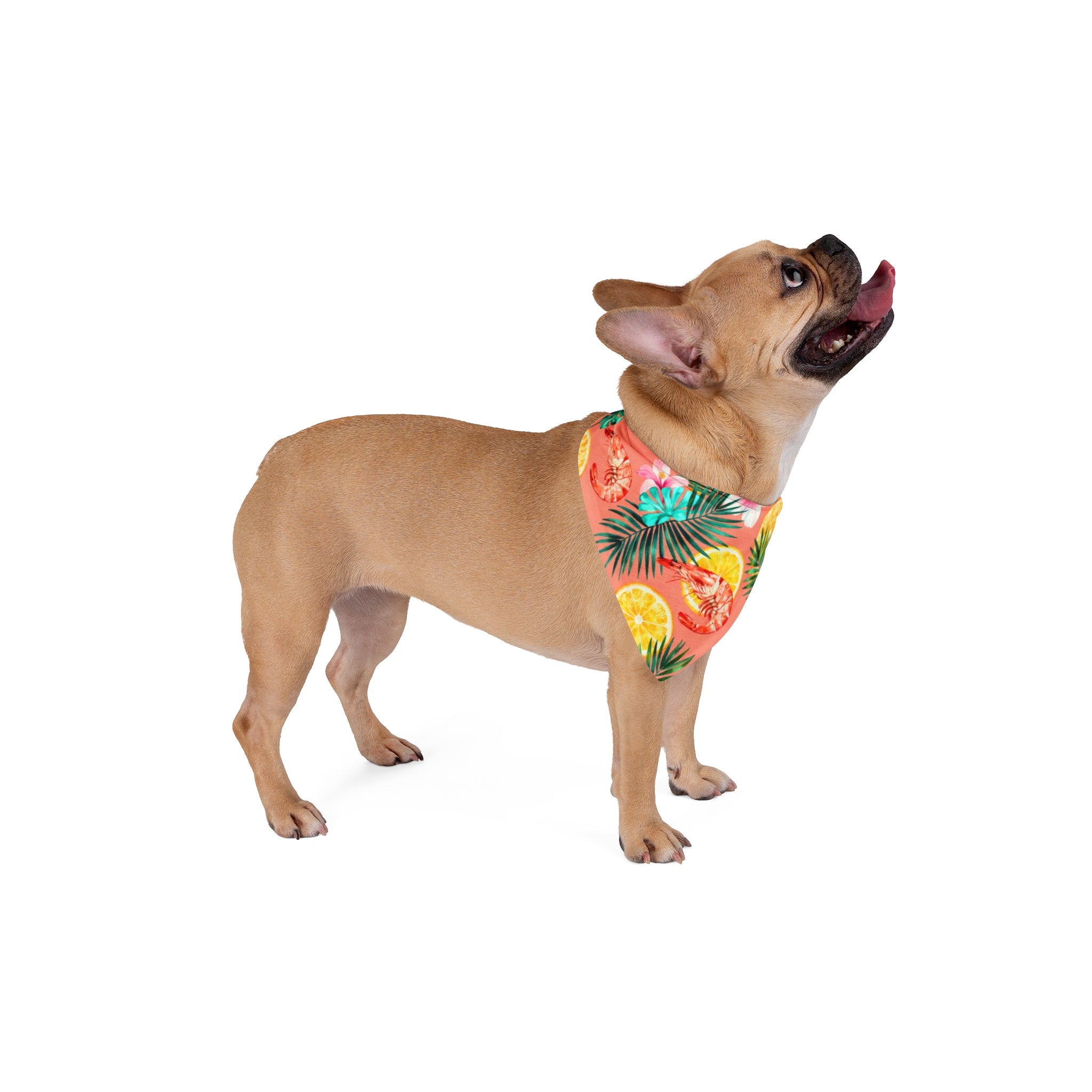 Tropical Citrus Pet Bandana — Hawaiian Floral Dog & Cat Scarf