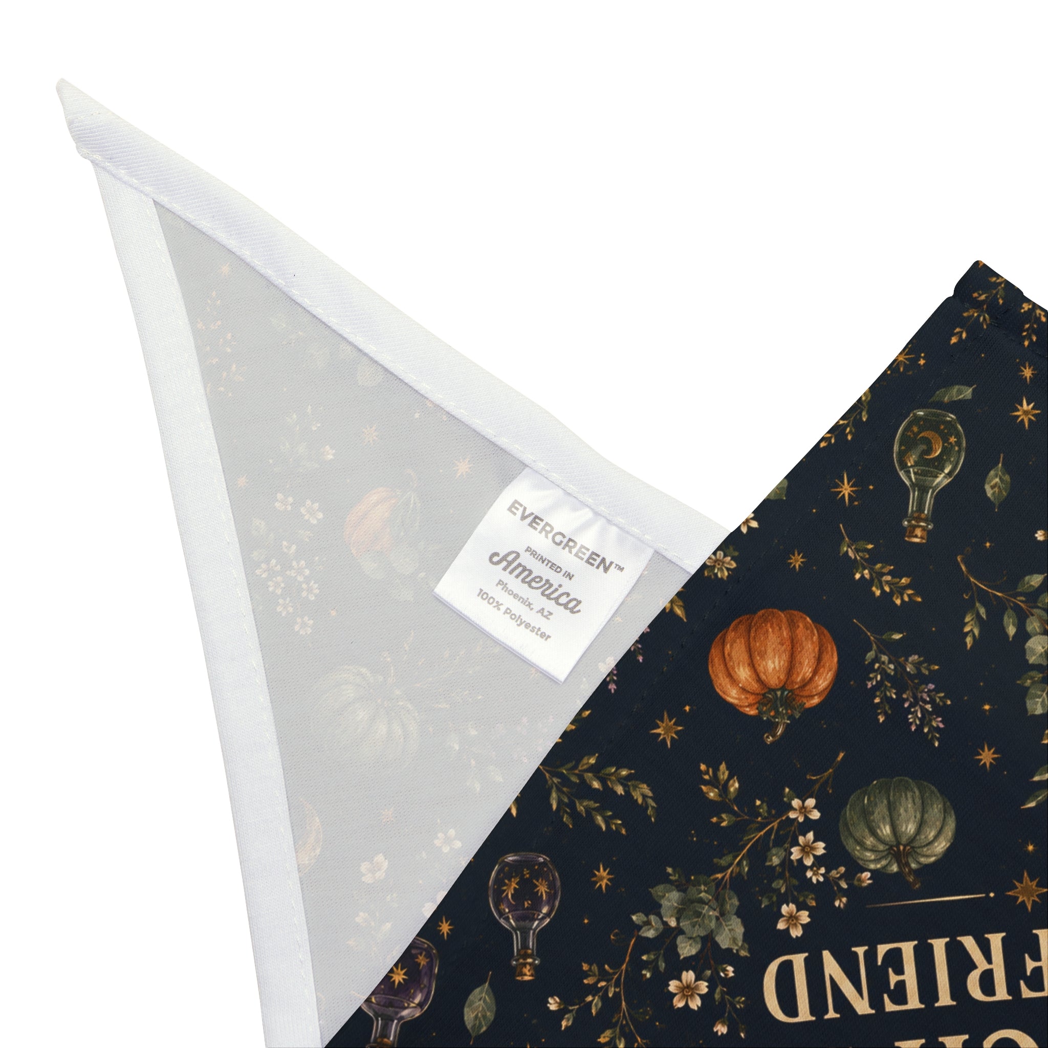 Witch's Best Friend Halloween Dog Bandana | Spooky Dog Mom Pet Bandana