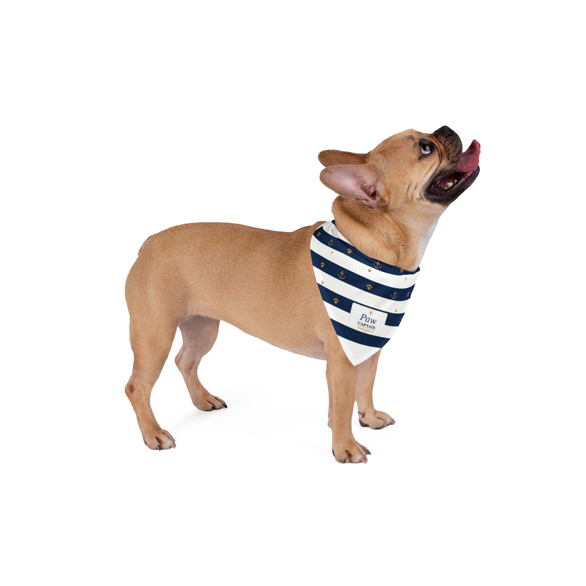 Nautical Striped "Paw Captain" Pet Bandana