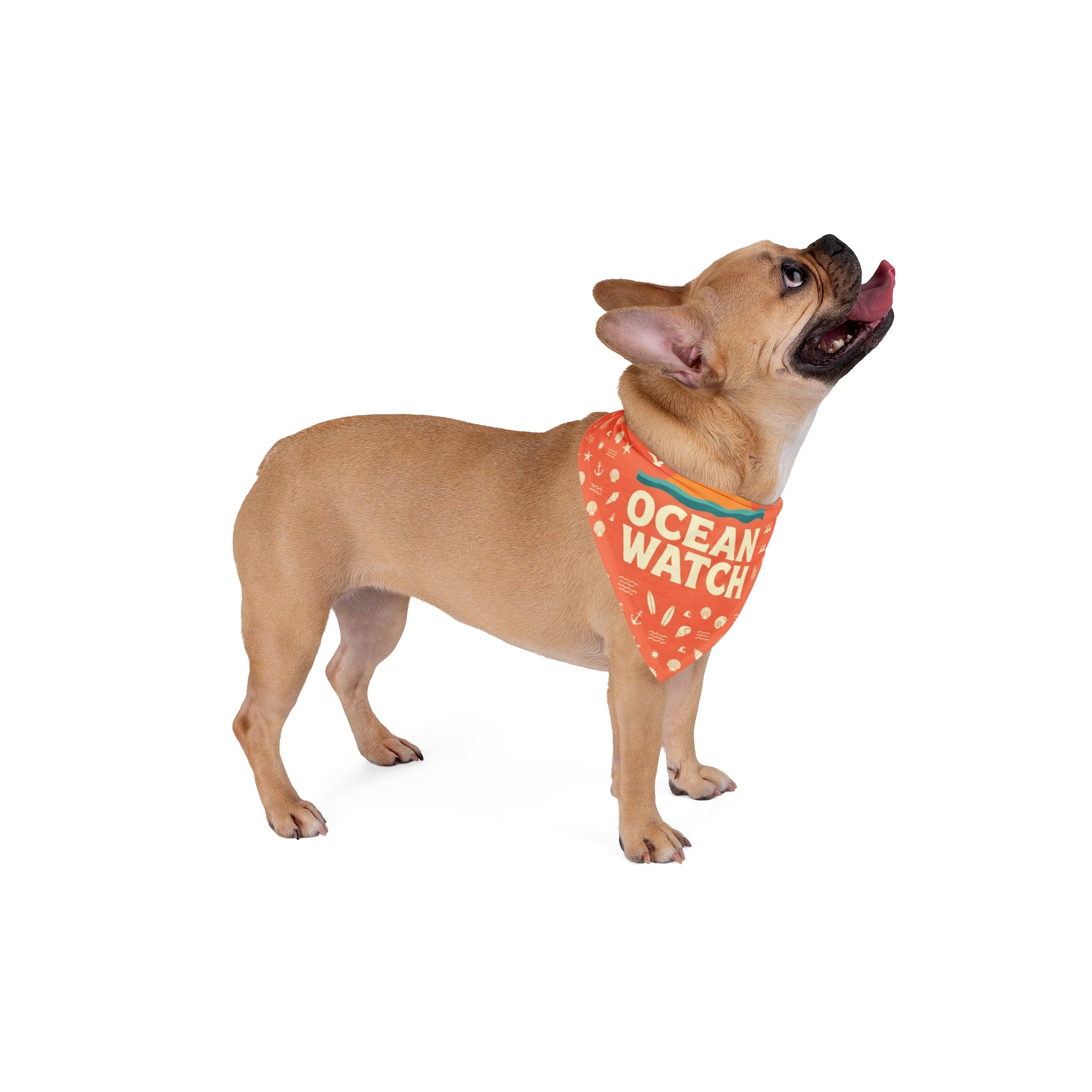 Ocean Watch Pet Bandana – Coral Sea Conservation Bandana for Dogs & Cats