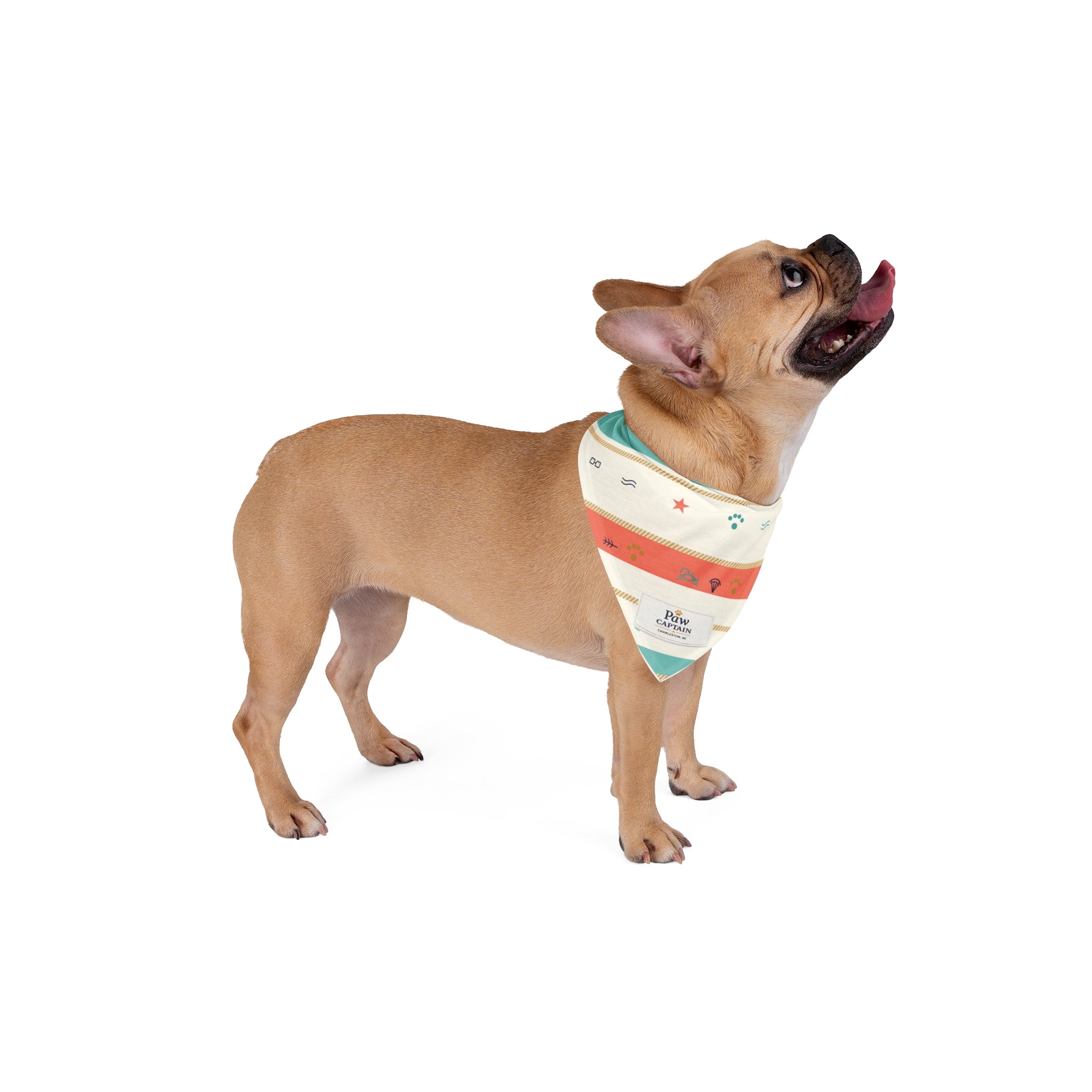 Seaside Cabana Stripe Dog Bandana