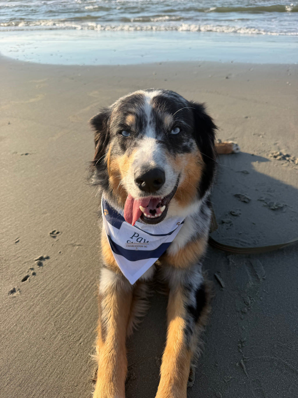 Nautical Striped "Paw Captain" Pet Bandana