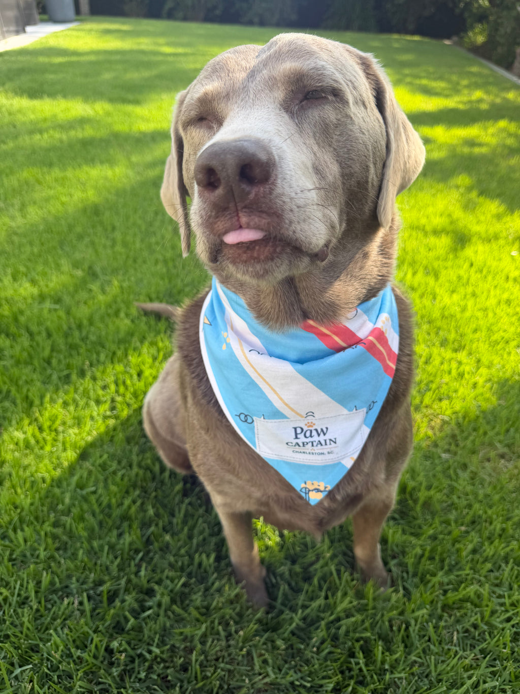 Marina Pennant Stripe Dog Bandana