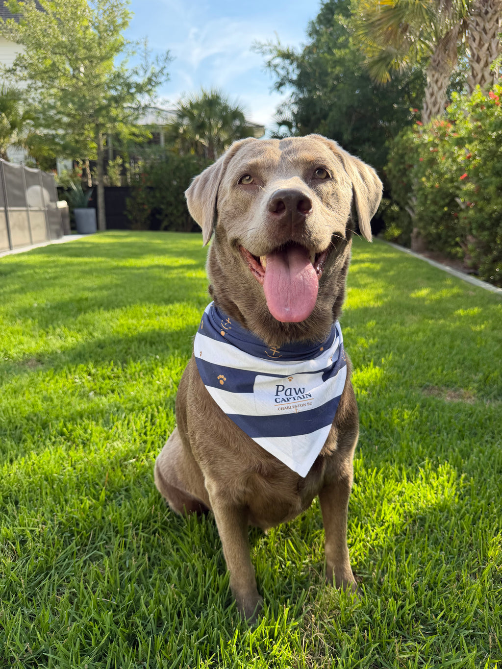Nautical Striped "Paw Captain" Pet Bandana