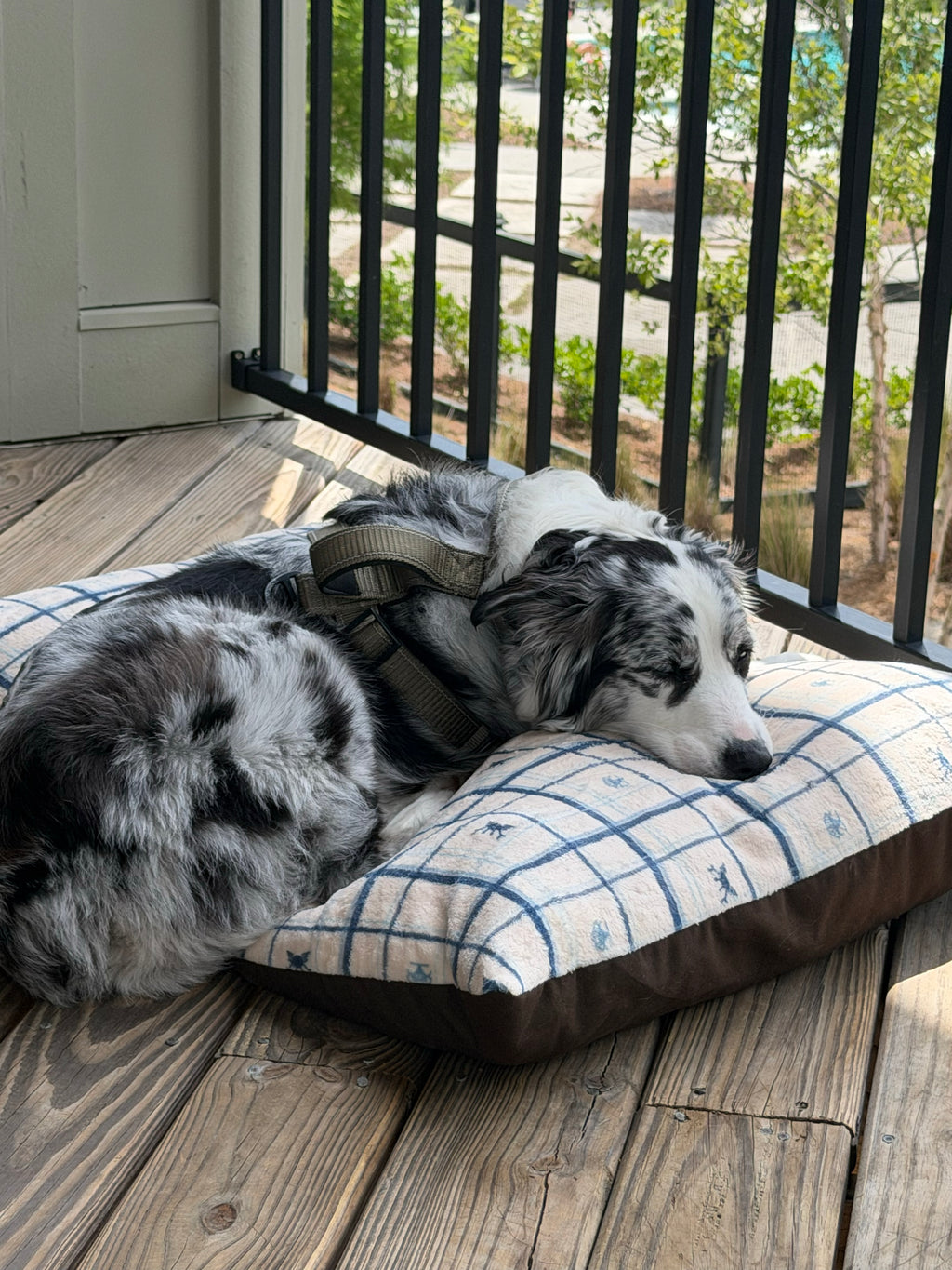 Coastal Crab Plaid Dog Bed
