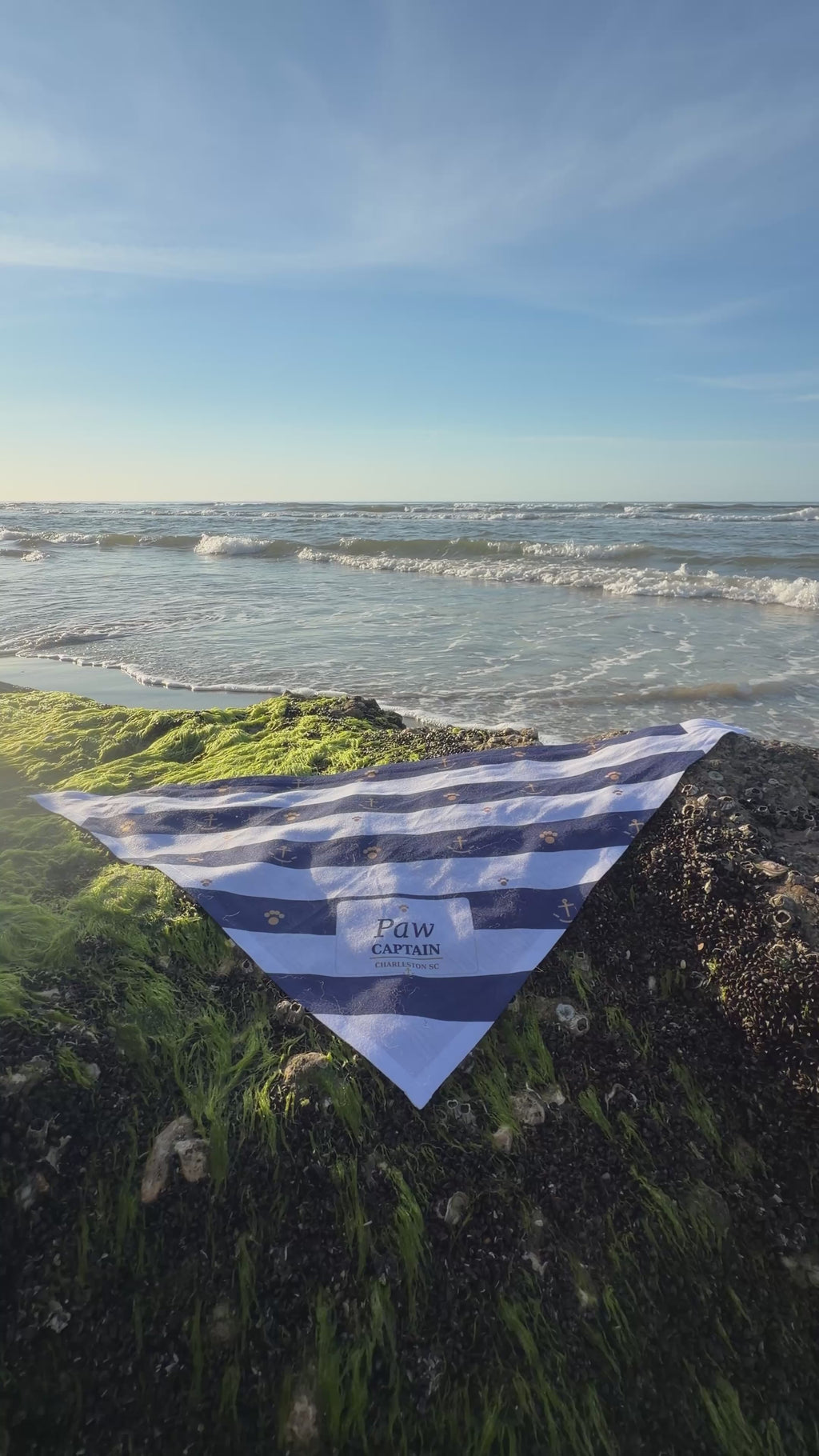 Nautical Striped "Paw Captain" Pet Bandana