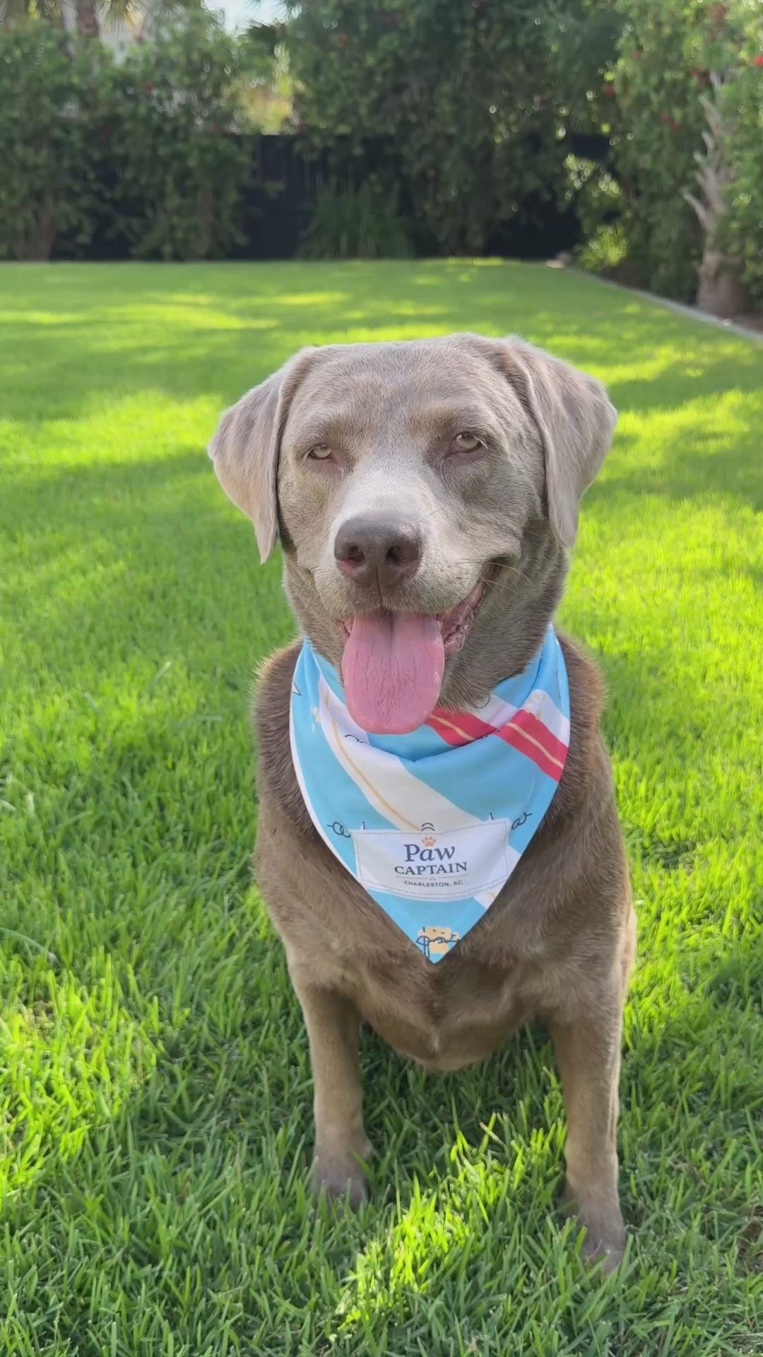 Marina Pennant Stripe Dog Bandana